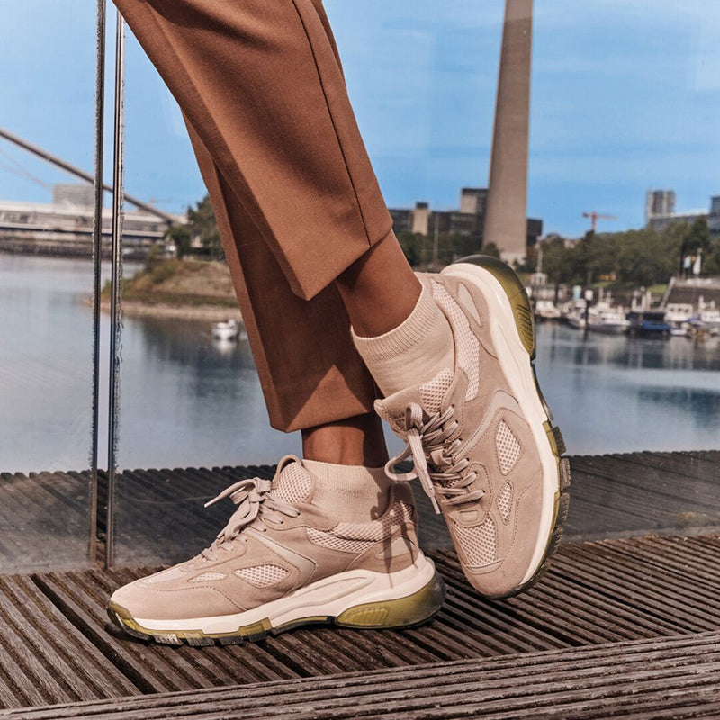 Family Women Sneaker socks
